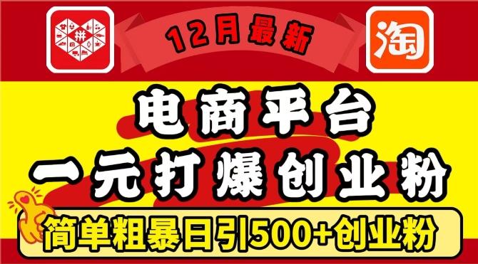 图片[1]-12月最新：电商平台1元打爆创业粉，简单粗暴日引500+精准创业粉，轻松月入过W【揭秘】-天天学吧