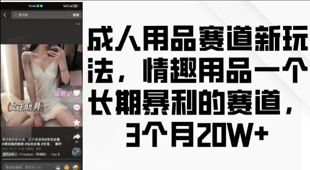 图片[1]-成人用品赛道新玩法，情趣用品一个长期暴利的赛道，3个月收益20个【揭秘】-天天学吧