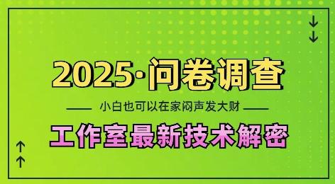 图片[1]-2025问卷调查最新工作室技术解密：一个人在家也可以闷声发大财，小白一天2张，可矩阵放大【揭秘】-天天学吧