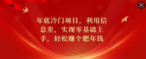 图片[1]-年底冷门项目，利用信息差，实现零基础上手，轻松赚个肥年钱【揭秘】-天天学吧