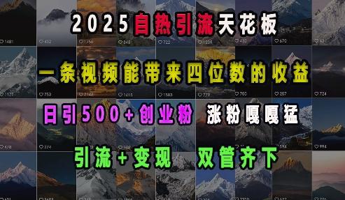 图片[1]-2025自热引流天花板，一条视频能带来四位数的收益，引流+变现双管齐下，日引500+创业粉，涨粉嘎嘎猛-天天学吧