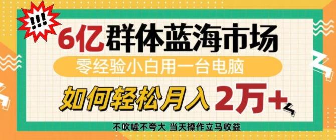 图片[1]-6亿群体蓝海市场，零经验小白用一台电脑，如何轻松月入过w【揭秘】-天天学吧