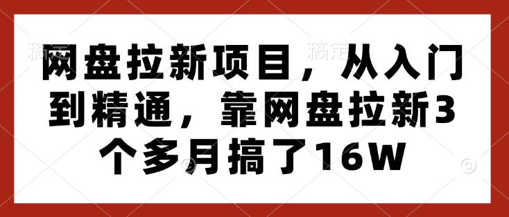 图片[1]-网盘拉新项目，从入门到精通，靠网盘拉新3个多月搞了16W-天天学吧