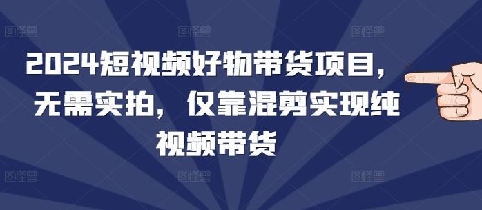 图片[1]-2024短视频好物带货项目，无需实拍，仅靠混剪实现纯视频带货-天天学吧