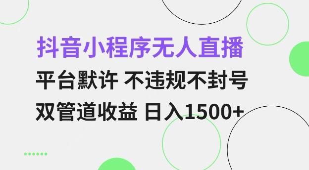 图片[1]-抖音小程序无人直播 平台默许 不违规不封号 双管道收益 日入多张 小白也能轻松操作【仅揭秘】-天天学吧