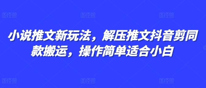 图片[1]-小说推文新玩法，解压推文抖音剪同款搬运，操作简单适合小白-天天学吧