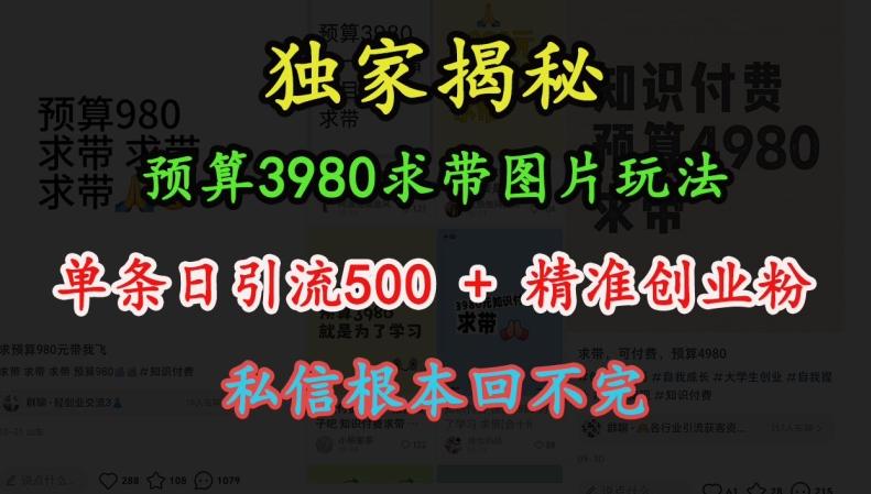 图片[1]-预算3980求带 图片玩法，单条日引流500+精准创业粉，私信根本回不完-天天学吧