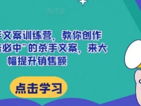 AI杀手文案训练营，教你创作出“一击必中”的杀手文案，来大幅提升销售额-天天学吧