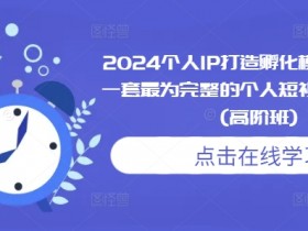 2024个人IP打造孵化模式流程课，一套最为完整的个人短视频落地课程(高阶班)-天天学吧