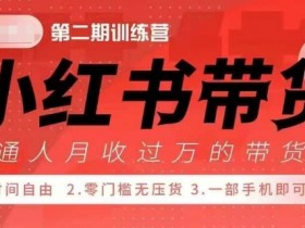 小Red书带货42天训练营 2.0版，宝妈+自由职+上班族+大学生，提高副业收入的大红利项目-天天学吧