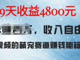 萌宠赛道赚钱秘籍：AI宠物兔视频详细拆解，9天收益4.8k-天天学吧