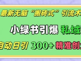 最新无脑“搬砖式”引流术，小绿书引爆私域圈，全自动日引300+精准创业粉【揭秘】-天天学吧