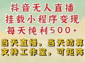 抖音无人直播挂载小程序变现每天纯利500+当天直播，当天结算支持工作室，可矩阵【揭秘】-天天学吧