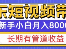 京东短视频带货新玩法，长期管道收益，新手也能月入8000+-天天学吧