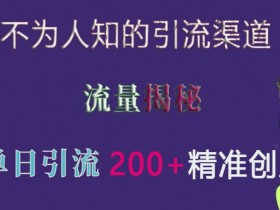 不为人知的引流渠道，流量揭秘，实测单日引流200+精准创业粉【揭秘】-天天学吧