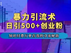 暴力引流术，专业知识付费行业首选的引流秘籍，一天暴流500+创业粉，五个手机流量接不完!-天天学吧