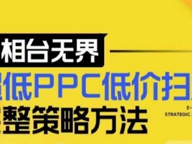 【2024新版】万相台无界，超低PPC低价扫流完整策略方法，店铺核心选款和低价盈选款方法-天天学吧