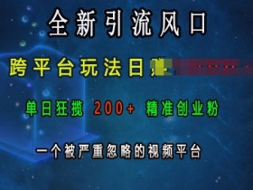 全新引流风口，跨平台玩法日入上k，单日狂揽200+精准创业粉，一个被严重忽略的视频平台-天天学吧