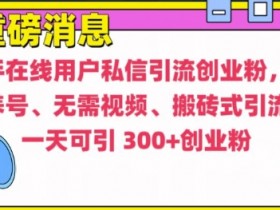 快手最新引流创业粉方法，无需养号、无需视频、搬砖式引流法【揭秘】-天天学吧