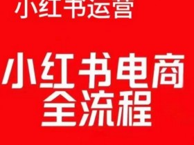 红薯电商实操课，小红书电商全流程-天天学吧