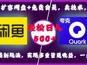 0成本扩容网盘+免费会员，卖技术，拉新，咸鱼最新玩法，实现多重管道收益，一鱼多吃，轻松日入500+-天天学吧