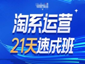 淘系运营21天速成班第34期-搜索最新玩法和25年搜索趋势-天天学吧