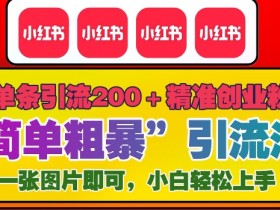 12月底小红书”简单粗暴“引流法，单条引流200+精准创业粉-天天学吧