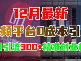 12月最新：音频平台0成本引流，日引流300+精准创业粉-天天学吧