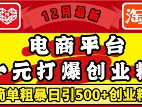 12月最新：电商平台1元打爆创业粉，简单粗暴日引500+精准创业粉，轻松月入过W【揭秘】-天天学吧