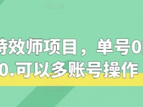 快手特效师项目，单号0撸140，可以多账号操作【揭秘】-天天学吧