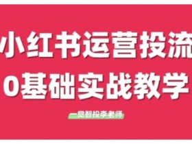 小红书运营投流，小红书广告投放从0到1的实战课，学完即可开始投放-天天学吧