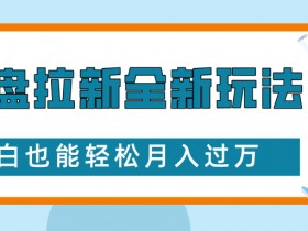 网盘拉新全新玩法，免费复习资料引流大学生粉二次变现，小白也能轻松月入过W【揭秘】-天天学吧