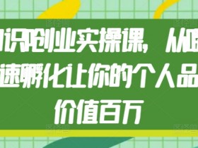 知识IP创业实操课，从0到1快速孵化让你的个人品牌价值百万-天天学吧