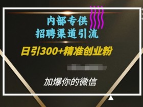 内部招聘渠道日引流300+创业粉，加爆你的微信【揭秘】-天天学吧