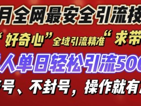 12 月份全网最安全引流创业粉技术来袭，不封号不废号，有操作就有流量【揭秘】-天天学吧