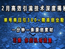 最新高效引流技术深度揭秘 ，单号单日引300+精准创业粉，一分钟一条原创素材，引爆你的私域流量-天天学吧