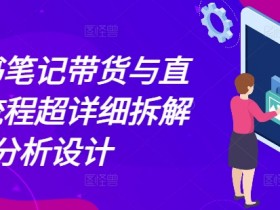 小红书笔记带货与直播，流程超详细拆解分析设计-天天学吧