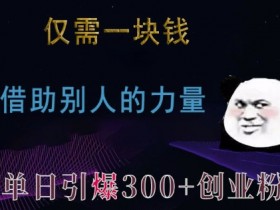 仅需一块钱，借助别人的力量，单日引爆300+创业粉、兼职粉【揭秘】-天天学吧