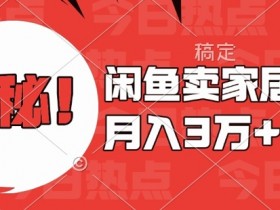 闲鱼卖家居用品月入过W+最新技巧闲鱼最新零基础教学，新手当天上手【揭秘】-天天学吧