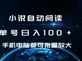 小说自动阅读 单号日入100+ 手机电脑都可 批量放大操作【揭秘】-天天学吧