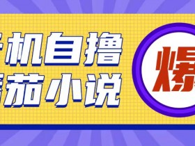 首发云手机自撸小说玩法，10块钱成本可撸200+收益操作简单【揭秘】-天天学吧