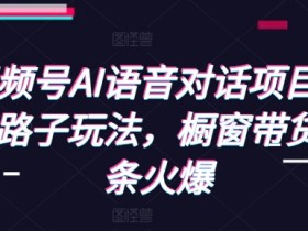 视频号AI语音对话项目，野路子玩法，橱窗带货条条火爆-天天学吧