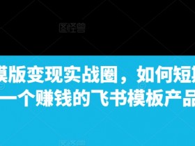 飞书模版变现实战圈，如何短期搭建一个赚钱的飞书模板产品-天天学吧