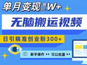 无脑搬运视频号可批量复制，新手即可操作，日引精准创业粉300+，月变现过W 【揭秘】-天天学吧