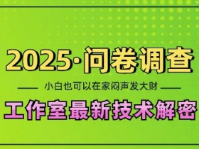 2025问卷调查最新工作室技术解密：一个人在家也可以闷声发大财，小白一天2张，可矩阵放大【揭秘】-天天学吧