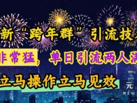 最新“跨年群”引流，流量非常猛，单日引流两人满人群，立马操作立马见效【揭秘】-天天学吧