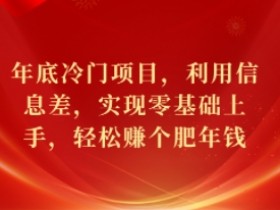 年底冷门项目，利用信息差，实现零基础上手，轻松赚个肥年钱【揭秘】-天天学吧