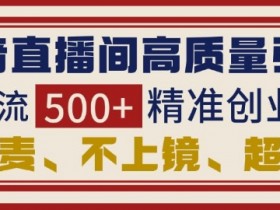 抖音直播间引流创业粉，无需连麦、不用上镜、超暴力，日引流500+高质量精准创业粉-天天学吧