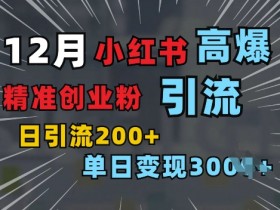 小红书一张图片“引爆”创业粉，单日+200+精准创业粉 可筛选付费意识创业粉【揭秘】-天天学吧