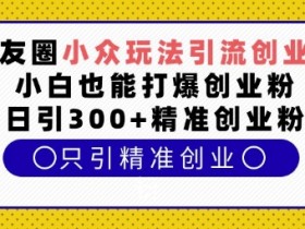 朋友圈小众玩法引流创业粉，小白也能打爆创业粉，日引300+精准创业粉【揭秘】-天天学吧